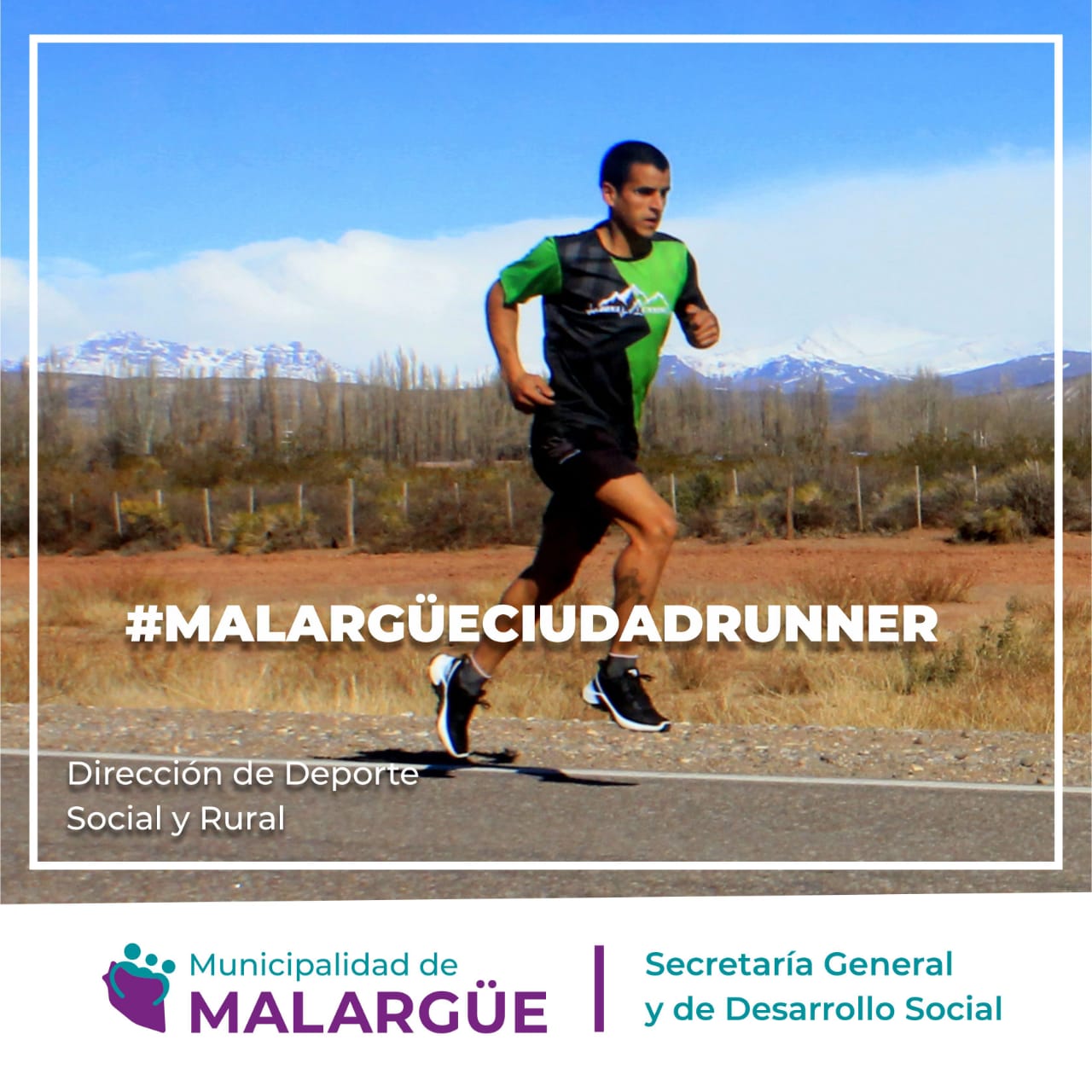 Columna 3