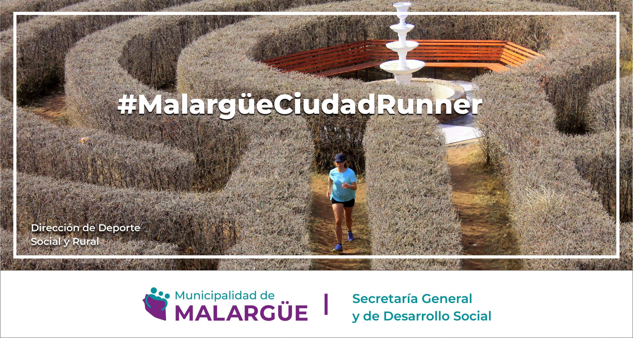 Columna 2