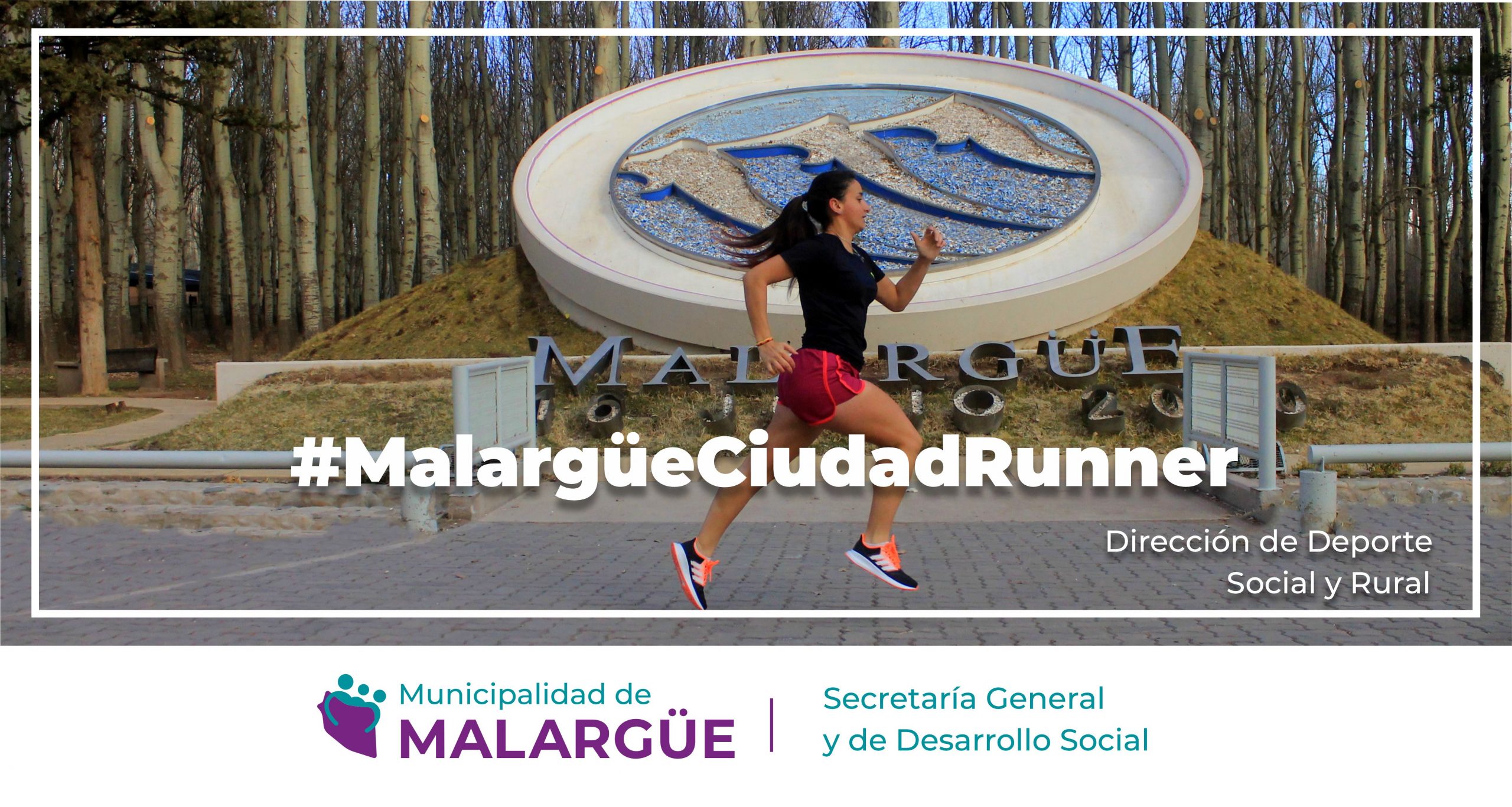 Columna 2