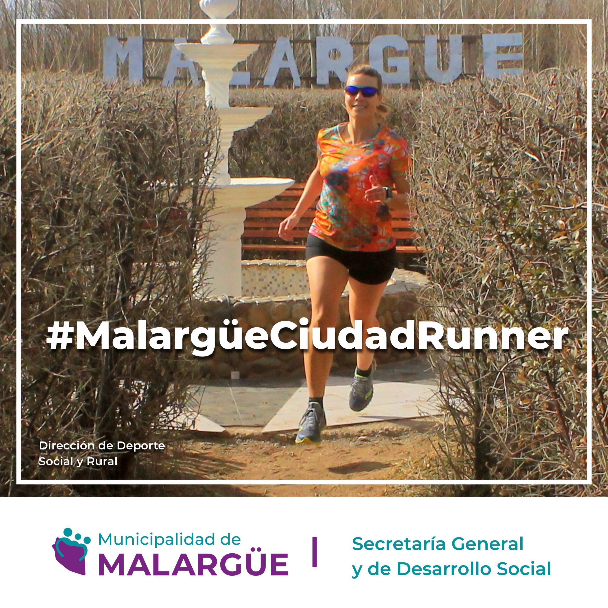 Columna 3