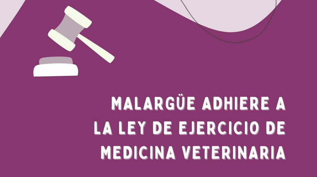 Malargüe rispetta l’ordinanza distrettuale per l’esercizio della medicina veterinaria – comune di Malargüe