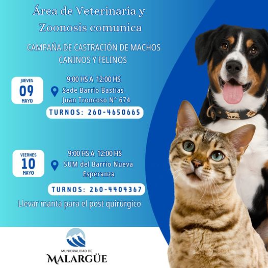 Campaña de Castración en barrios de la ciudad de Malargüe