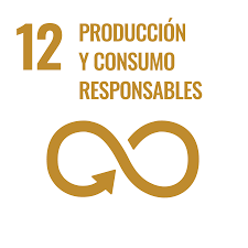 ODS 12